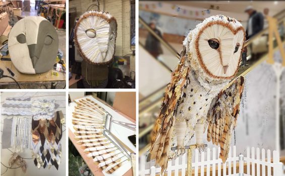 Owl Montage
